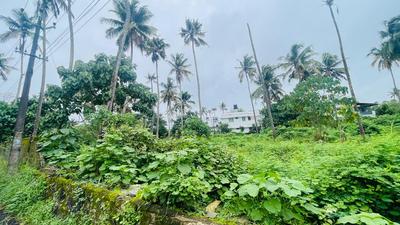 Kunnathery Thikavu Plot View 3