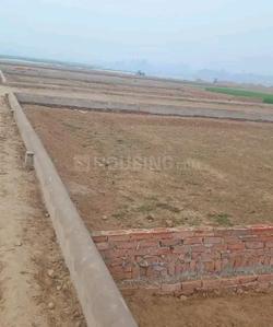 Image of 1000 Sq.ft Residential Plot / Land for sale in Maniram, Gorakhpur for Rs. 599000