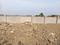 CASTILO DREAM CITY Plot View 2