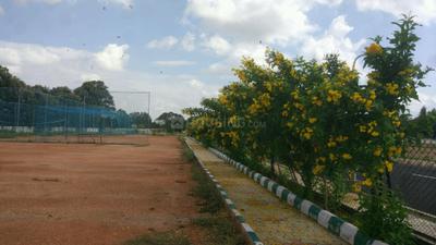 Residential Plot