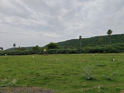 Image of 690 Sq.ft Residential Plot / Land for sale in Chengalpattu, Chennai for Rs. 1034311