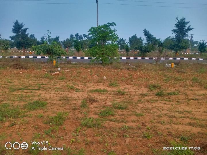 Nandanavanam subhakari Main Image 1