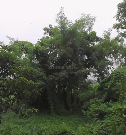 Baruipara  Main Image 1