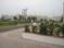 Emaar Bungalows Plot View 2