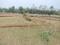 Khandagiri Plot View 2