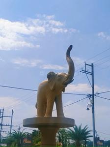 Image of 600 Sq.ft Residential Plot / Land for sale in Hi-Link Villa, Bada Bangarda, Indore for Rs. 2700000