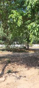 Image of 1000 Sq.ft Residential Plot / Land for sale in Palam Vihar, Gurgaon for Rs. 195000000