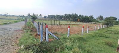 Image of 11397 Sq.ft Residential Plot / Land for sale in Arasampalayam, Coimbatore for Rs. 5000000