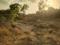 Upvan Residency Dholera Ahmedabad Plot View 2