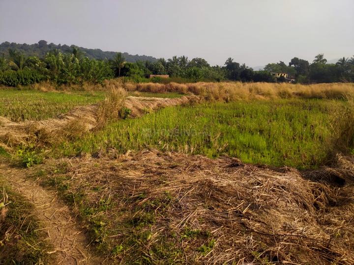 Towncity Plots In Belondakhar Main Image 1