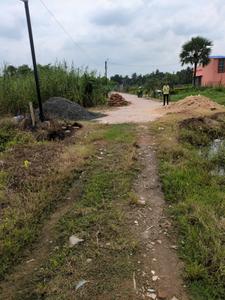 Nest Valley Internal Roads 2