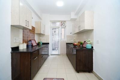 Kitchen Image of 1549 Sq.ft 3.5 BHK Apartment / Flat for sale in Amrapali Zodiac, Sector 120 Noida for Rs. 15800000