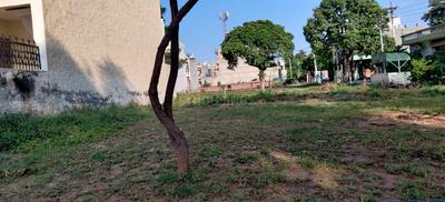 Image of 150 Sq.ft Residential Plot / Land for sale in Chirag Chandigarh Hills, Sector 123, Mohali for Rs. 10500000