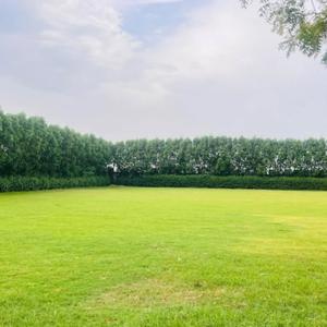 Image of 2000 Sq.ft Residential Plot / Land for sale in Sultanpur Road, Lucknow for Rs. 2000000