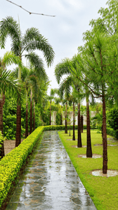 Image of 13500 Sq.ft Residential Plot / Land for sale in Naugaon, Alwar for Rs. 12500000