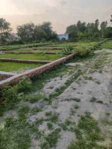 Mohanlalganj Plot View 3