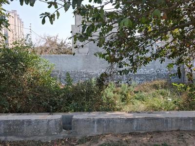 Sector 151 Plot View 1