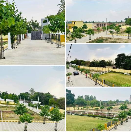 Daroga Kheda forensic live Lucknow Main Image 1