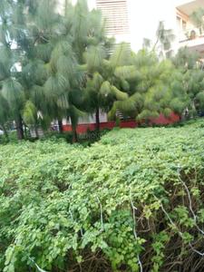 Image of 2800 Sq.ft 3.5 BHK Apartment / Flat for sale in Unitech Harmony, Sector 50, Gurgaon for Rs. 38300000