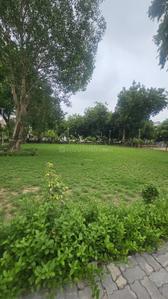 Aarohi club plot Plot View 3