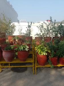 Sector 45 Plot View 2