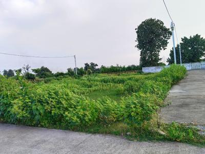 Image of 1000 Sq.ft Residential Plot / Land for sale in Tifra, Bilaspur for Rs. 1150000