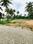 Land Plot View 2
