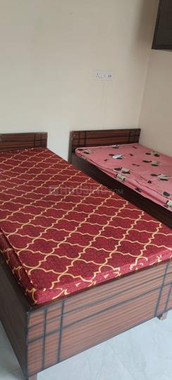 Balaji pg, Rajpura, | Property ID - 19458395