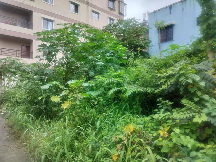 NIBM , Kondhwa Main Image 1