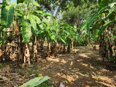 Image of 26133 Sq.ft Residential Plot / Land for sale in Poovanthuruthu, Kottayam for Rs. 24000000