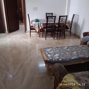 Hall Image of Pre occupied  in Rajouri Garden, New Delhi