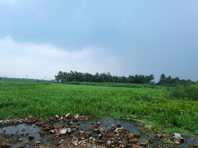 Nest Valley Plot View 1