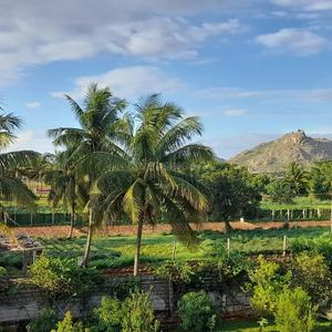 Image of 15000 Sq.ft 2.5 BHK Farm House for sale in Devanahalli, Bengaluru for Rs. 210000000