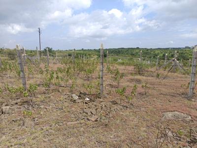 Image of 900 Sq.ft Residential Plot / Land for sale in Lohegaon, Pune for Rs. 3011000