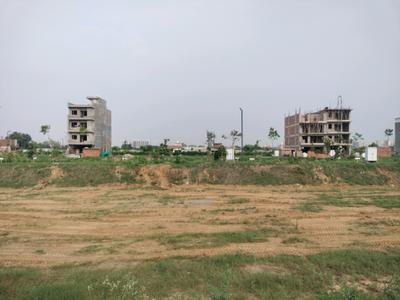 Amolik Aster Woods Plot View 2