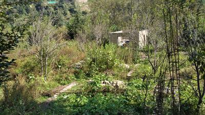 Image of 2178 Sq.ft Residential Plot / Land for sale in Jia, Kullu for Rs. 4400000