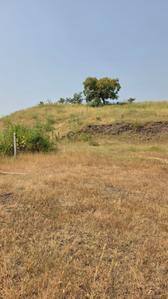 Image of 11000 Sq.ft Residential Plot / Land for sale in Kikvi, Pune for Rs. 1900000