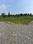 Vijay Park Plot View 2