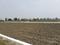 Kakrala Plot View 2