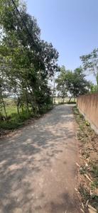 Image of 36000 Sq.ft Residential Plot / Land for sale in Falta, Kolkata for Rs. 17000000