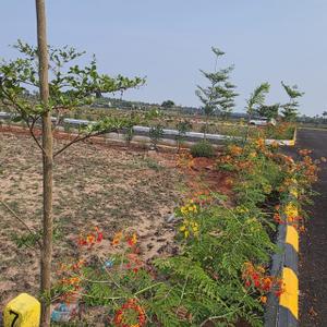 Image of 600 Sq.ft Residential Plot / Land for sale in Koovathur, Chennai for Rs. 897000