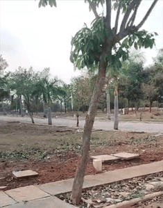 Image of 1320 Sq.ft Residential Plot / Land for sale in RM Green Square, Kuthaganahalli, Bengaluru for Rs. 5940000