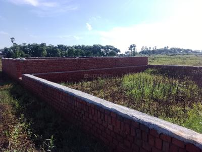 Chandrashekhar colony bagbari Bhagalpur Plot View 3