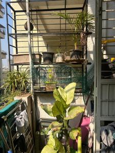 Balcony Image of 860 Sq.ft 2 BHK Apartment / Flat for sale in Ishwar River Residency, Chikhali Pune for Rs. 5000000