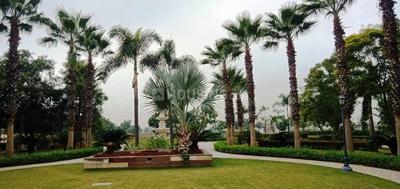 Image of 2701 Sq.ft Residential Plot / Land for sale in Omaxe Chandigarh Extension Plot, New Chandigarh, Chandigarh for Rs. 36000000