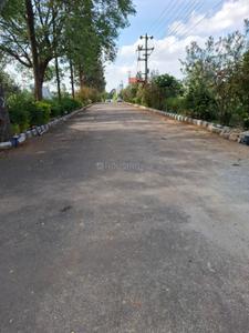 Residential Plot