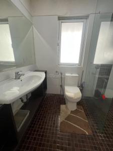Bathroom Image of 3000 Sq.ft 3 BHK Apartment / Flat for sale in Clover Palisades, Kondhwa Pune for Rs. 42500000