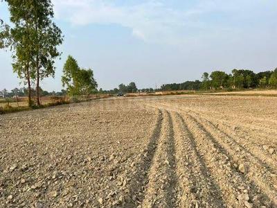 Image of 9378 Sq.ft Residential Plot / Land for sale in Dholera, Ahmedabad for Rs. 159426000