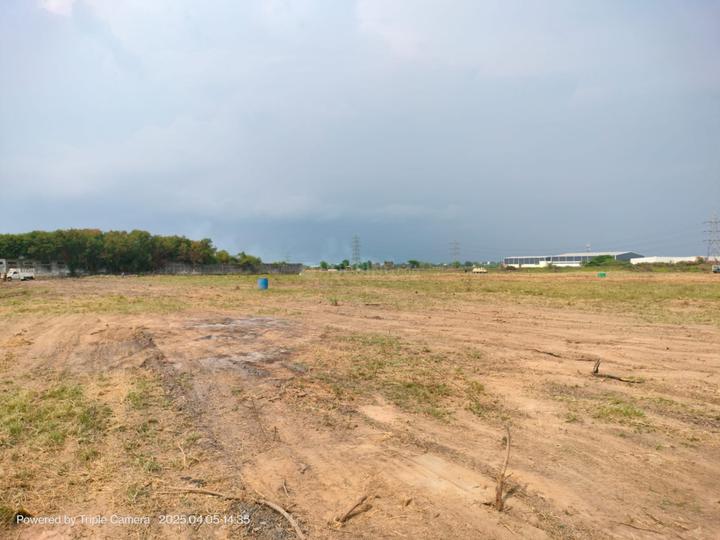 Vijayaraja virutcham Uthiramerur Main Image 1