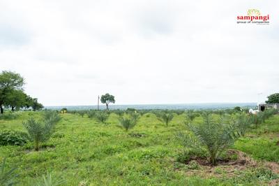 Image of 605 Sq.ft Residential Plot / Land for sale in Sadasivpet, Sangareddy for Rs. 621000